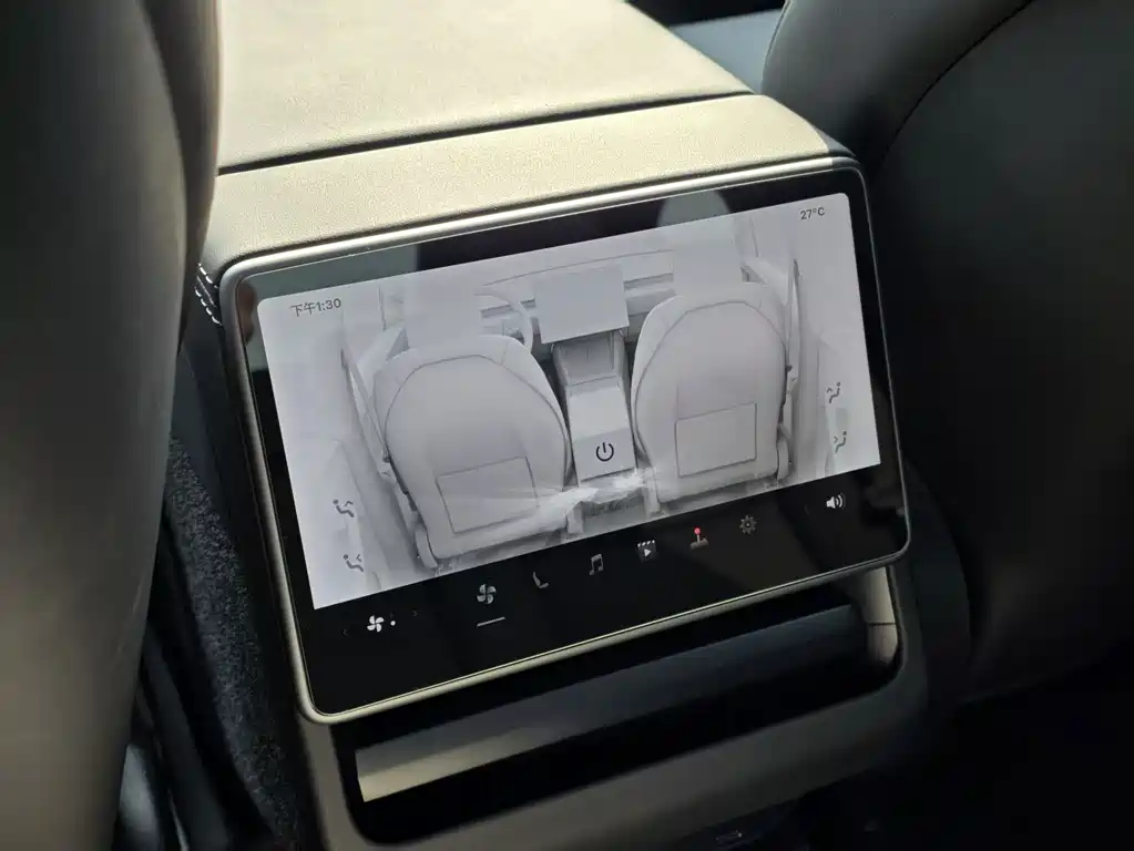 Tesla Model Y — миниатюра 11