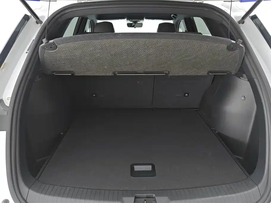 BYD SONGJIANG NEW ENERGY