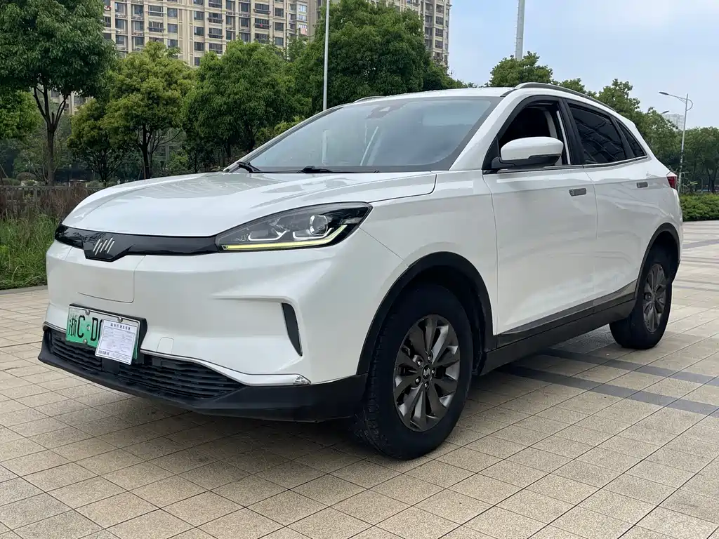 WM Motor EX5 2019