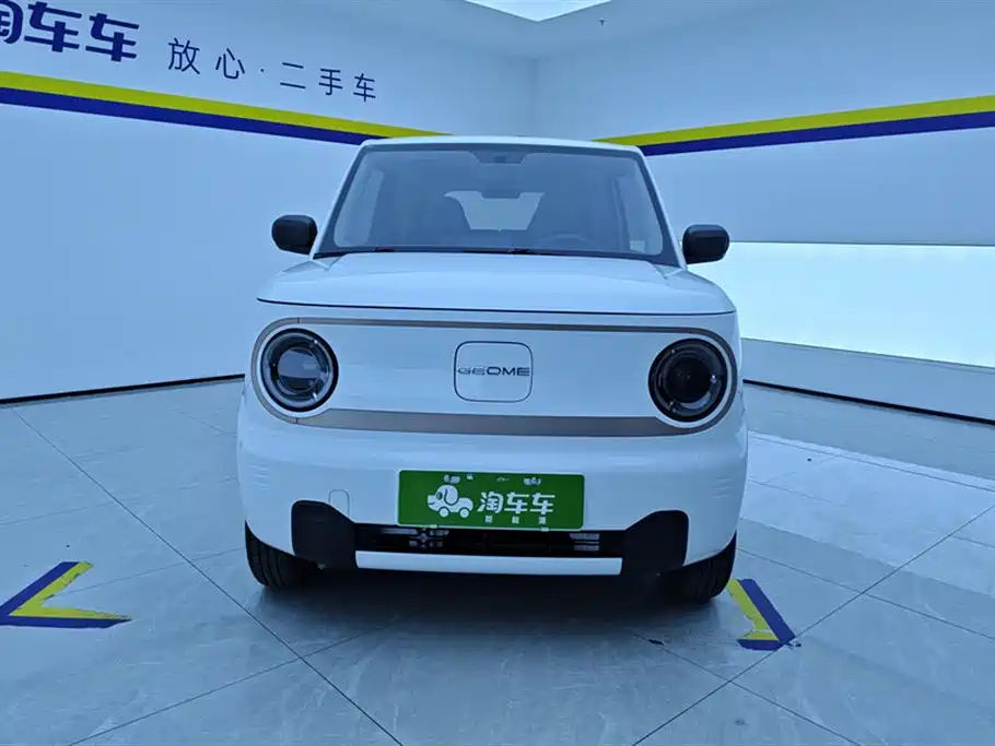 GEELY GALAXY PANDA