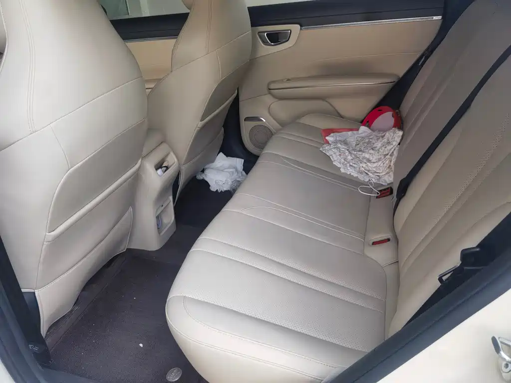 Wuling BinguoS S 2025 430km Flagship