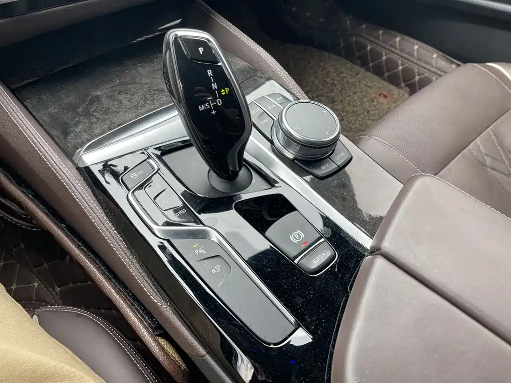 BMW 5 Series 5 2018 530Li Premium M Sport