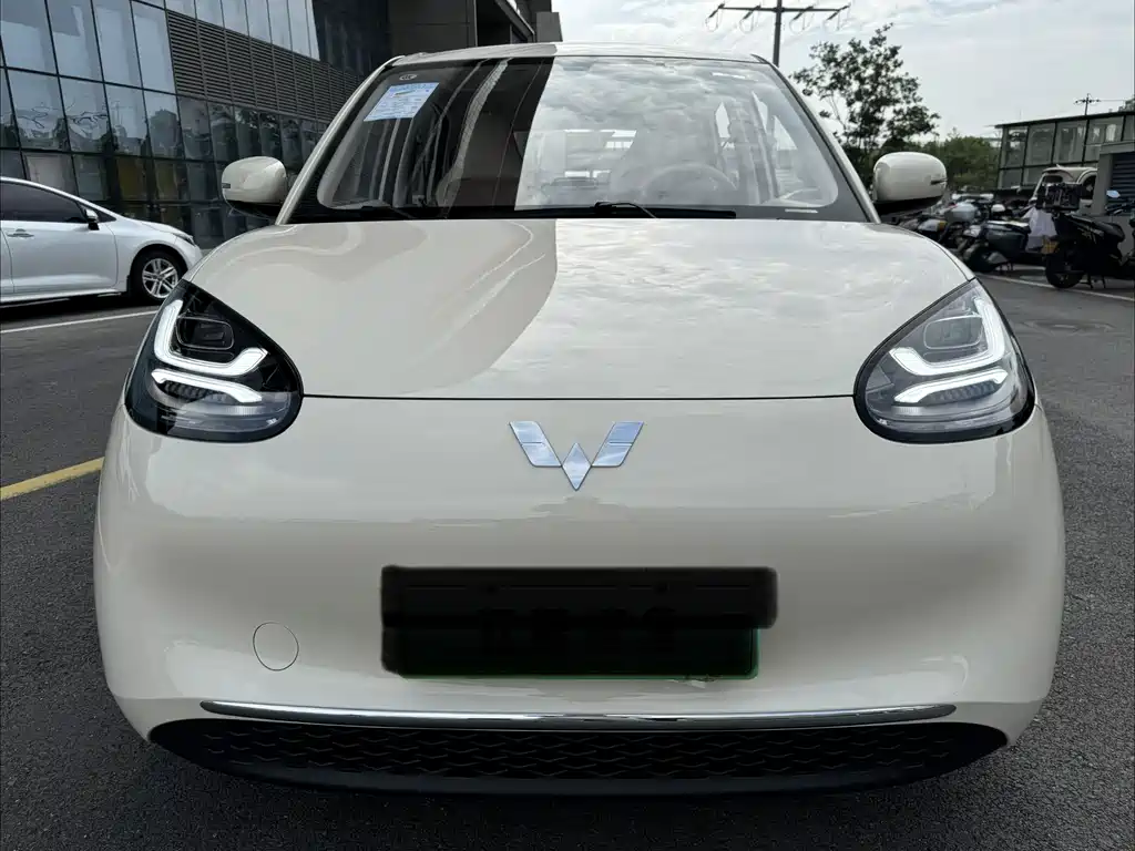 Wuling Binguo 2023 333km Enjoy