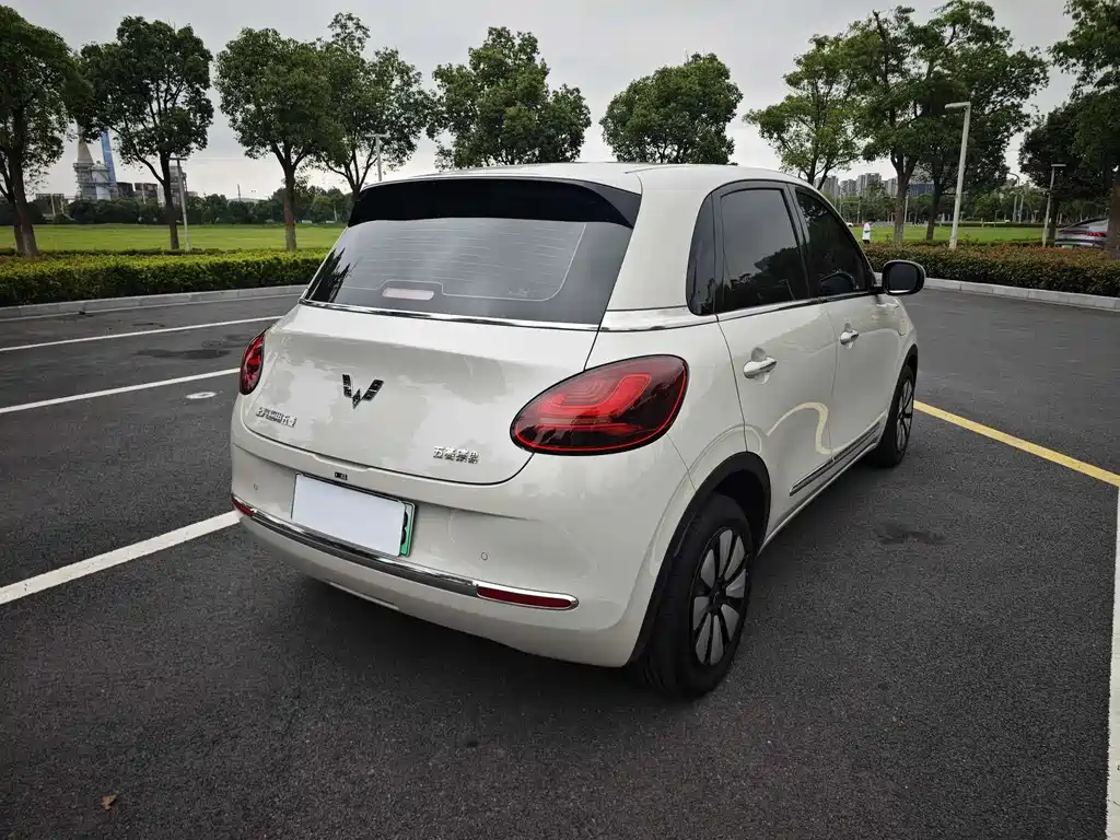 Wuling Binguo 2024 333km Enjoy