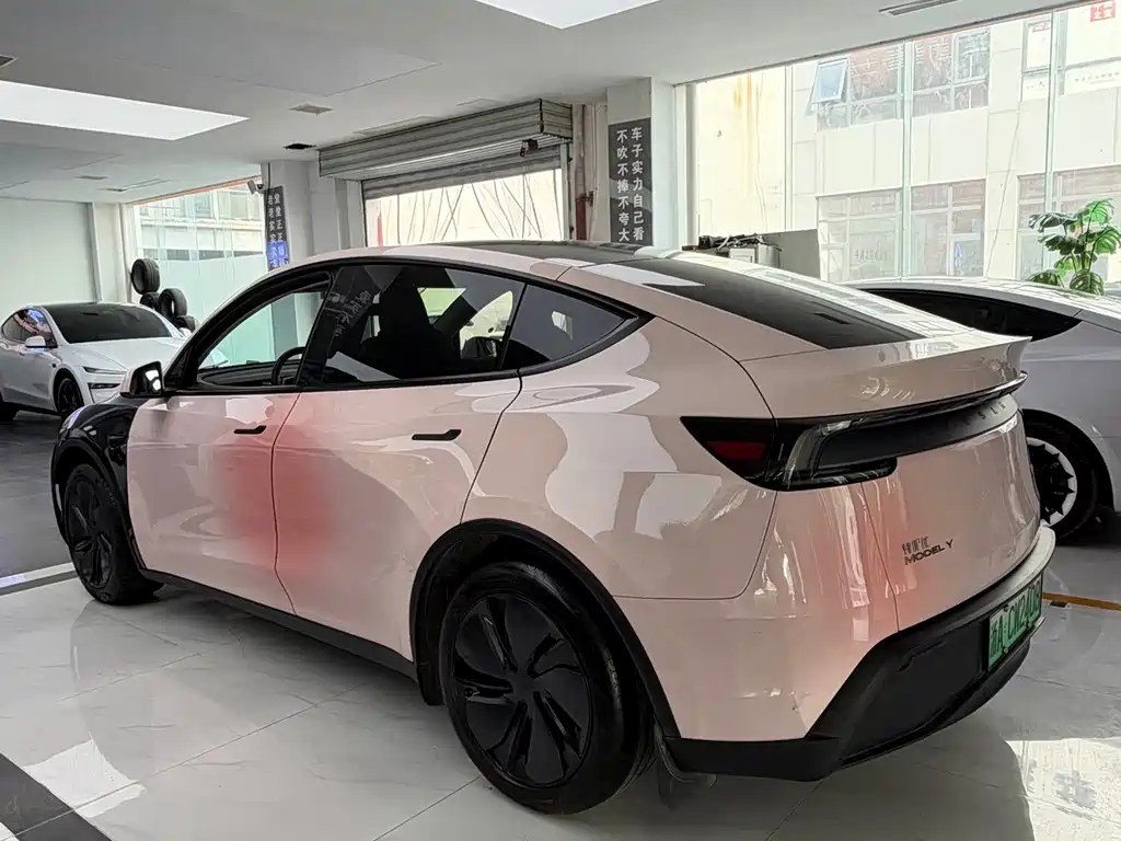 Tesla Model Y — миниатюра 10