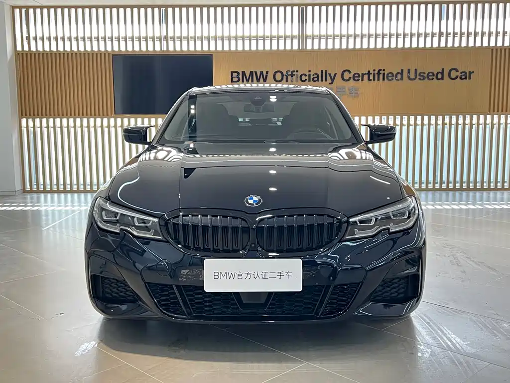 BMW 3 Series — миниатюра 2