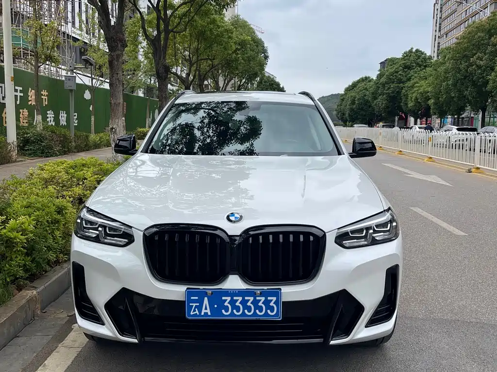 BMW X3 — миниатюра 2