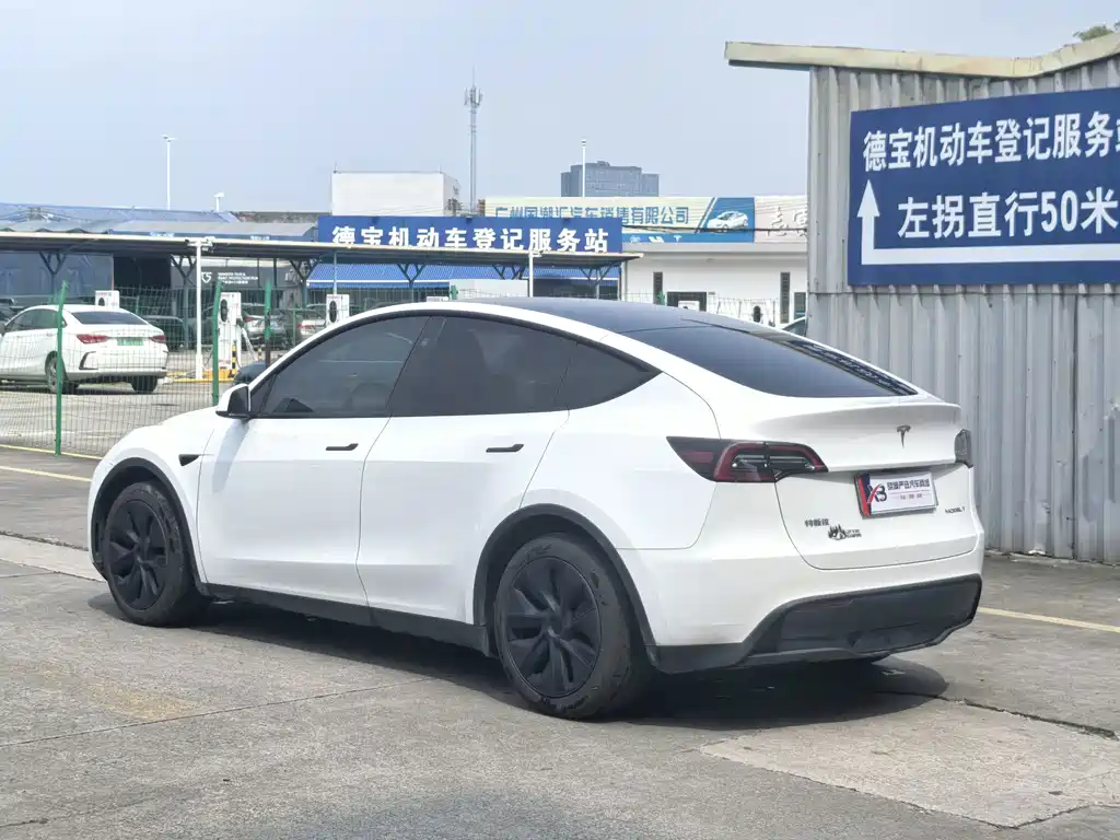 Tesla Model Y — миниатюра 6