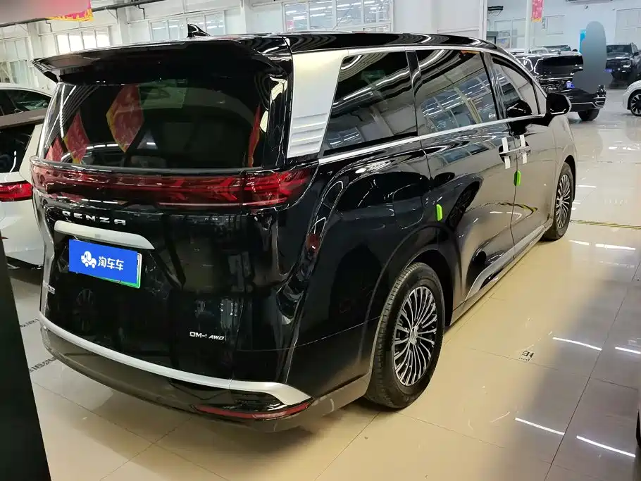 Denza Denza D9 — миниатюра 3