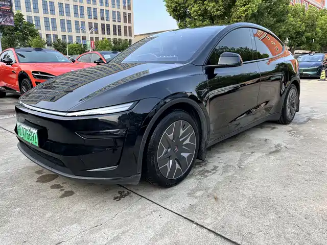 2025 Tesla Model Y
