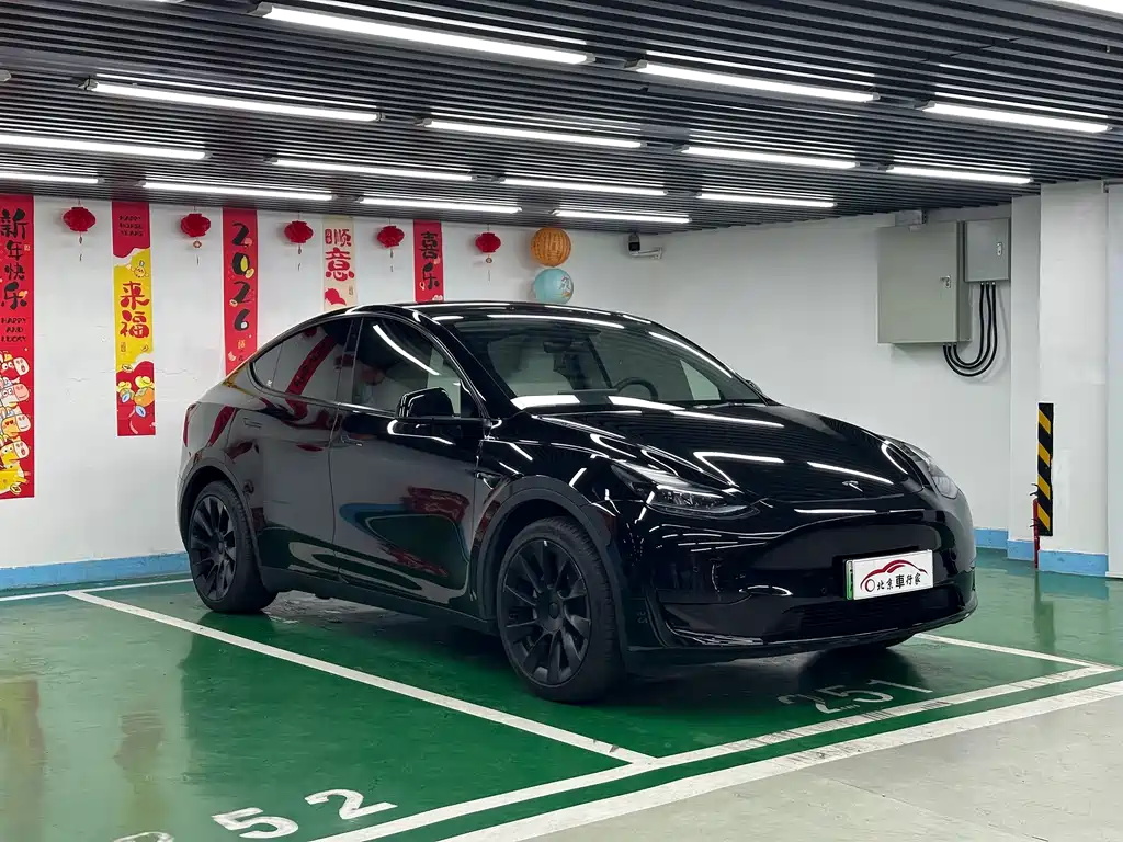 Tesla Model Y — миниатюра 3