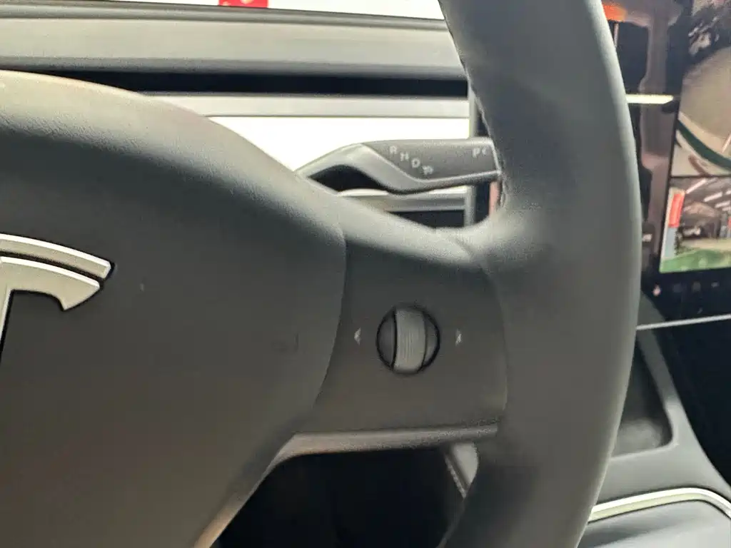 Tesla Model Y — миниатюра 18