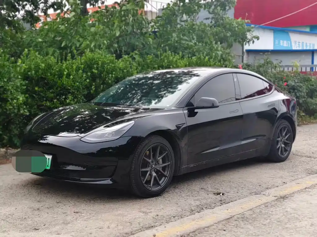 Tesla Model 3 2021