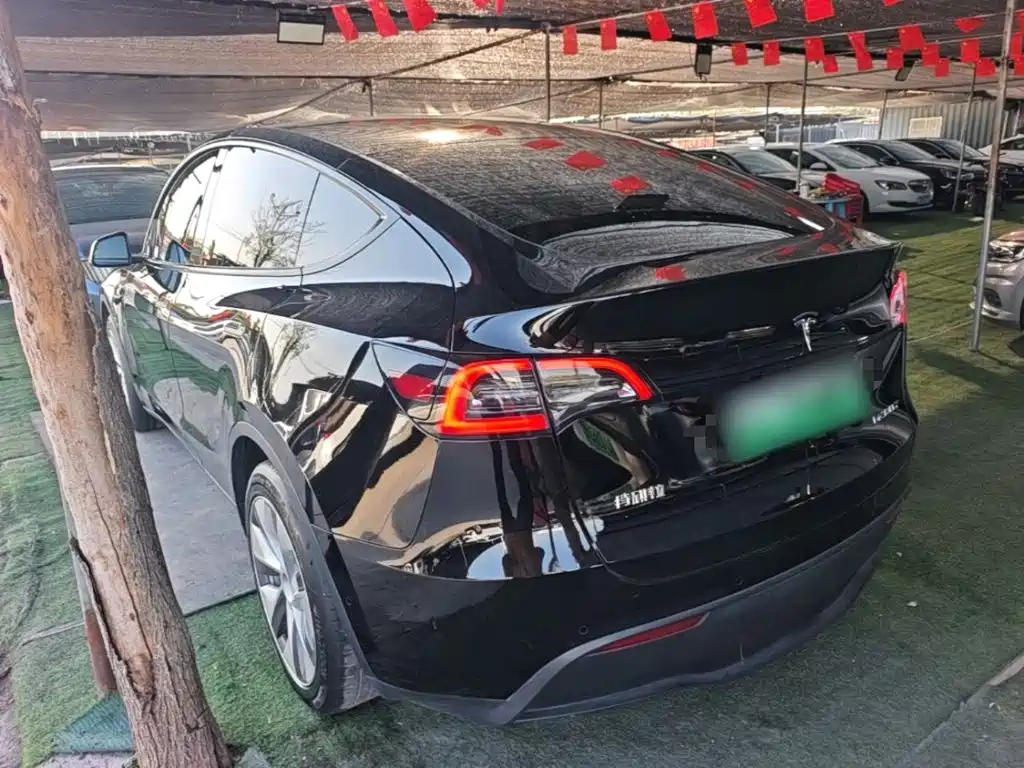Tesla Model Y — миниатюра 5