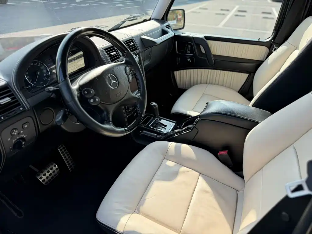 Mercedes-Benz G-Class G 2010 G 500