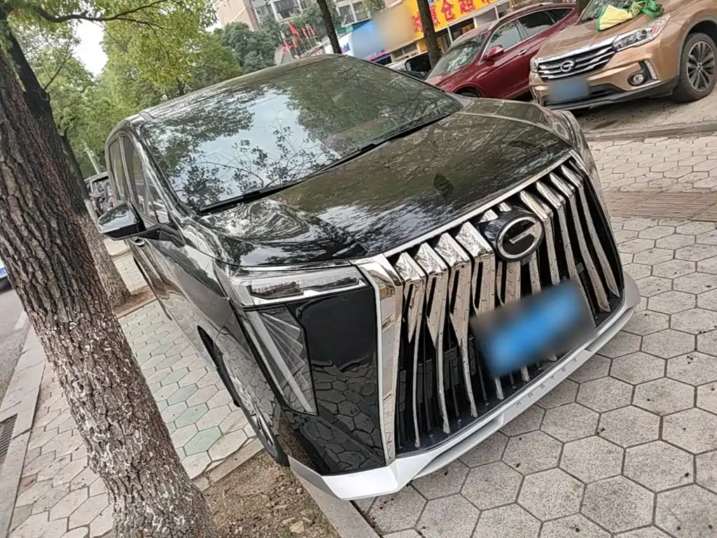 GAC Motor Trumpchi M8 — миниатюра 4