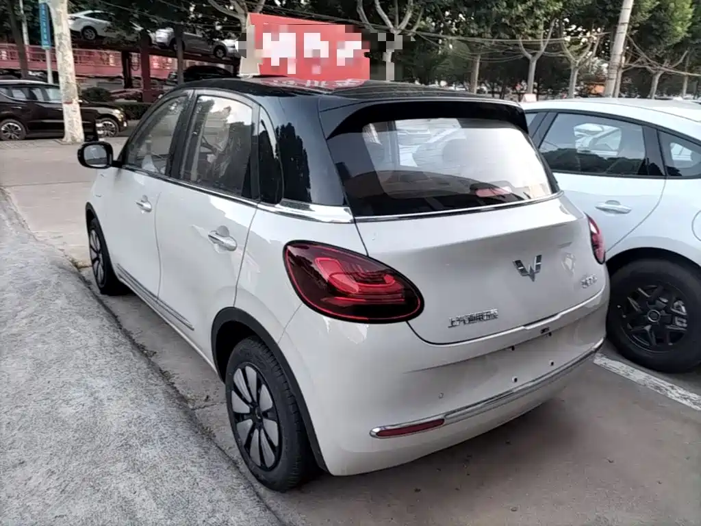 Wuling Binguo 2025 333km Enjoy