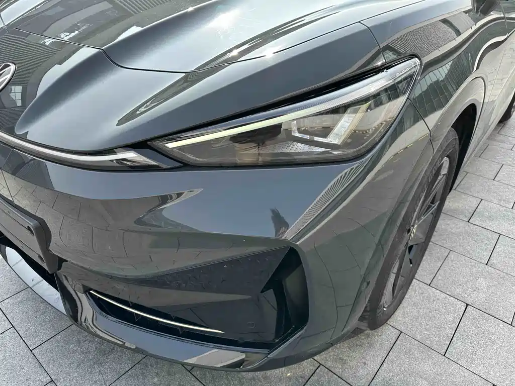 VOLKSWAGEN WITH THE CROWD 06