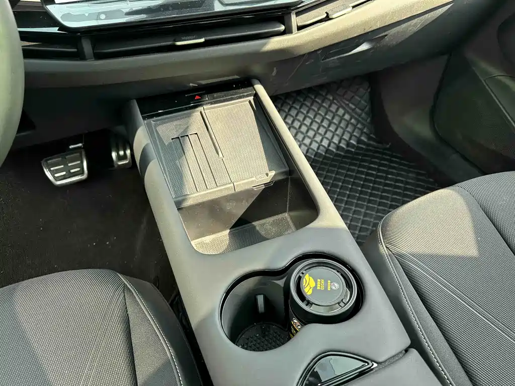 VOLKSWAGEN WITH THE CROWD 06