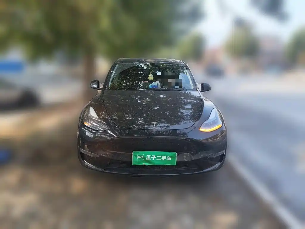 Tesla Model Y — миниатюра 2