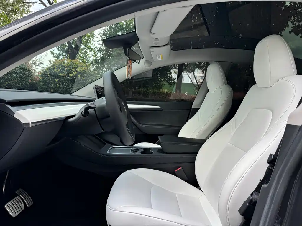 Tesla Model Y — миниатюра 7