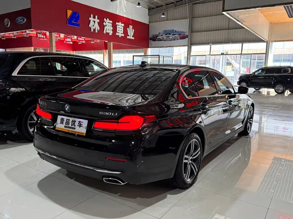 BMW 5 Series — миниатюра 30