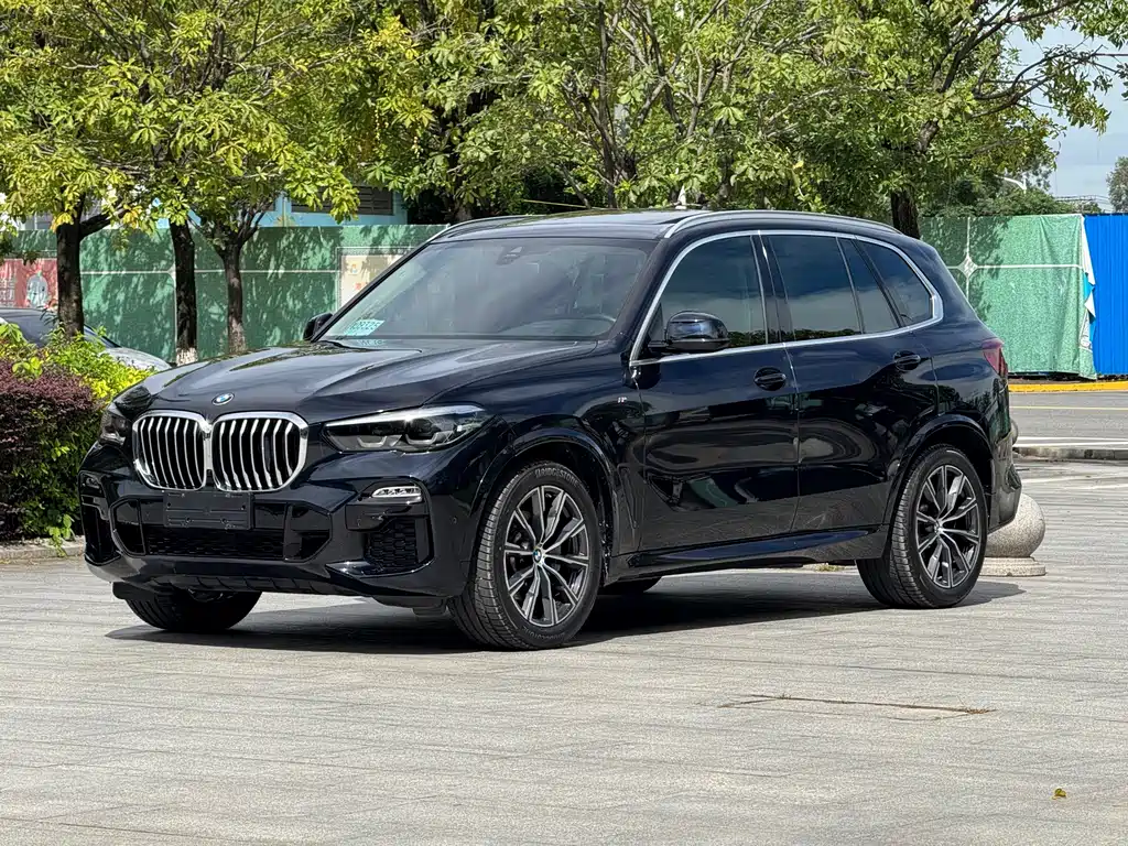 BMW X5 (Import) — миниатюра 16