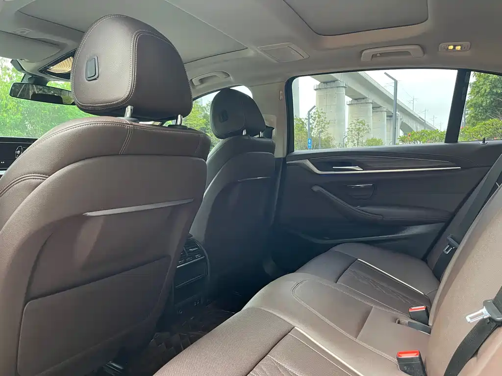 BMW 5 Series 5 2021 530Li Lead Luxury
