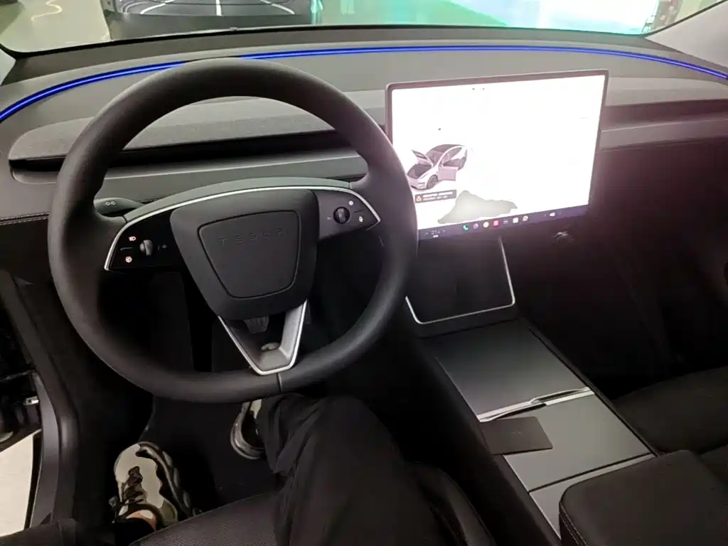 Tesla Model Y — миниатюра 10
