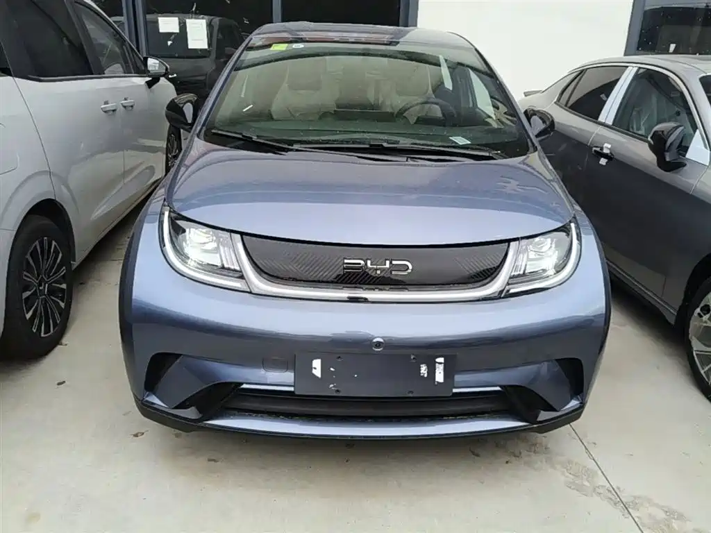 BYD Dolphin 2025 420km Freedom