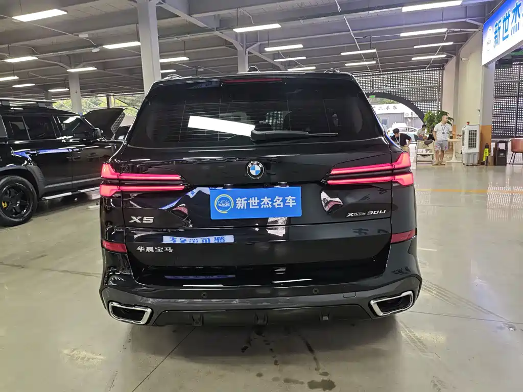 BMW X5 — миниатюра 15