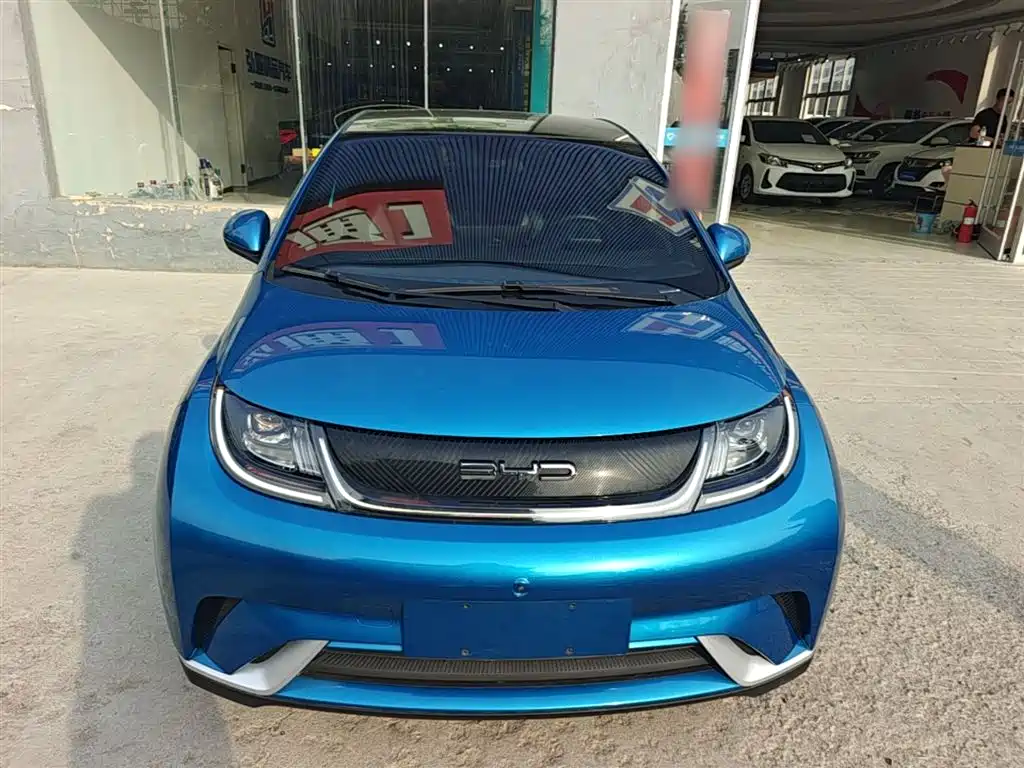BYD Dolphin 2021 405km Fashion