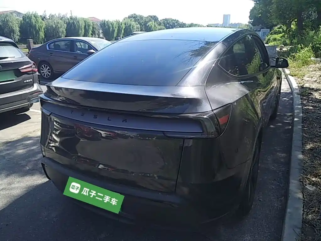 Tesla Model Y — миниатюра 7