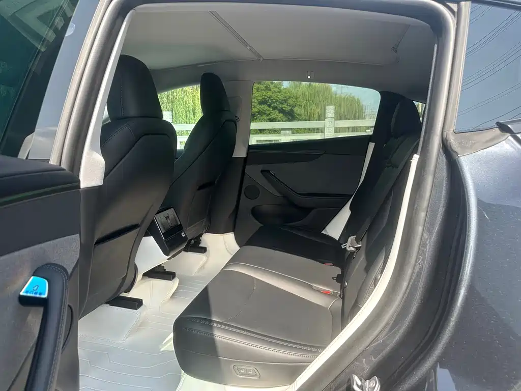 Tesla Model Y — миниатюра 10