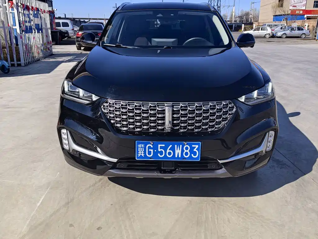 WEI PAI WEI BRAND VV6