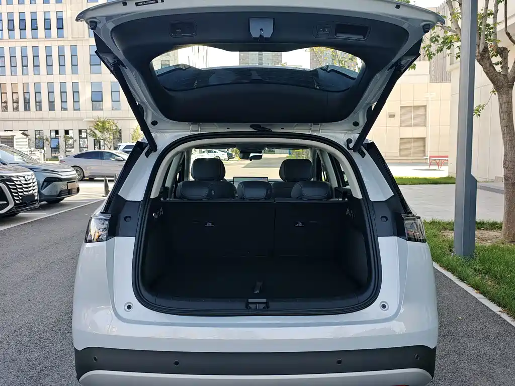 BYD Sealion 05 DM-i — миниатюра 11