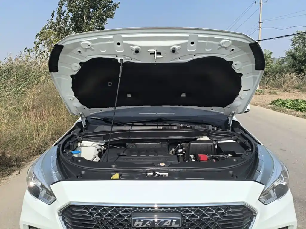 Haval M6 — миниатюра 20