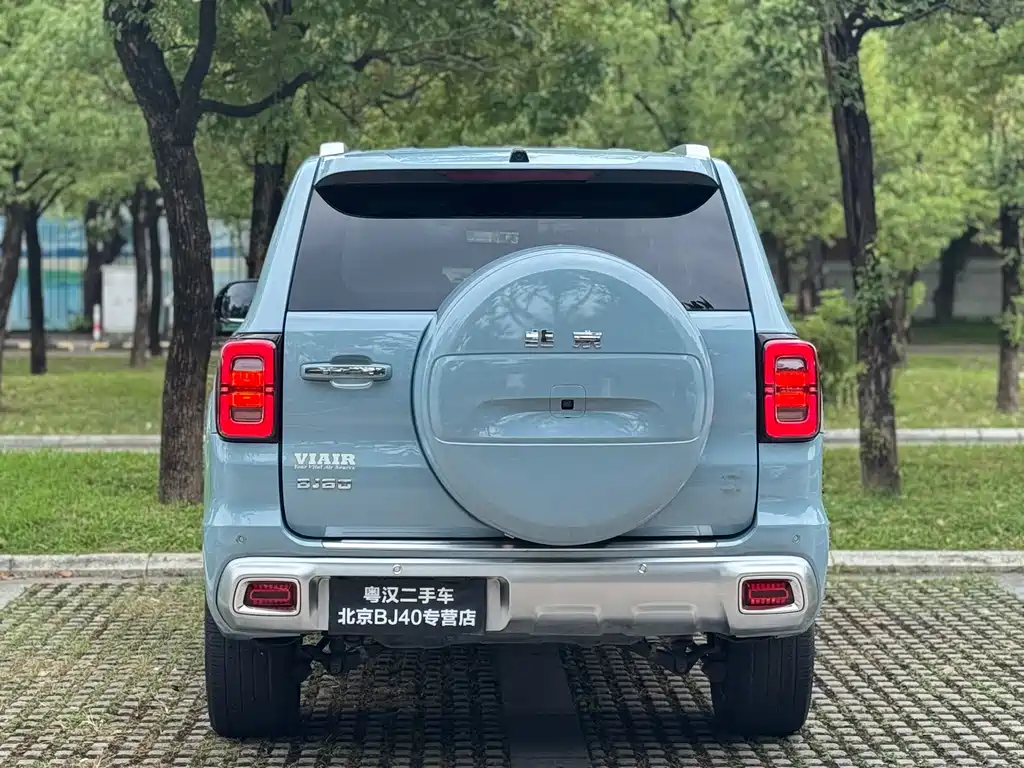 Beijing Off-Road BJ60 — миниатюра 12