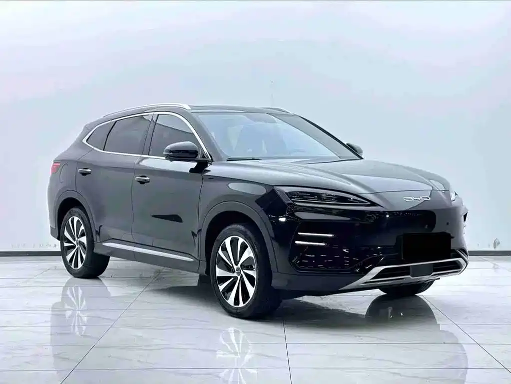 BYD PLUS New Energy — миниатюра 3