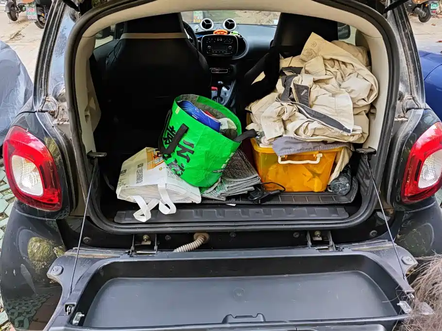 smart Smart Fortwo — миниатюра 4