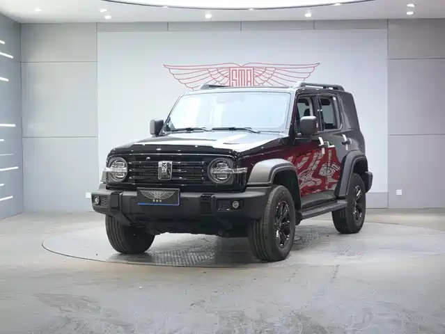 2024 TANK 300