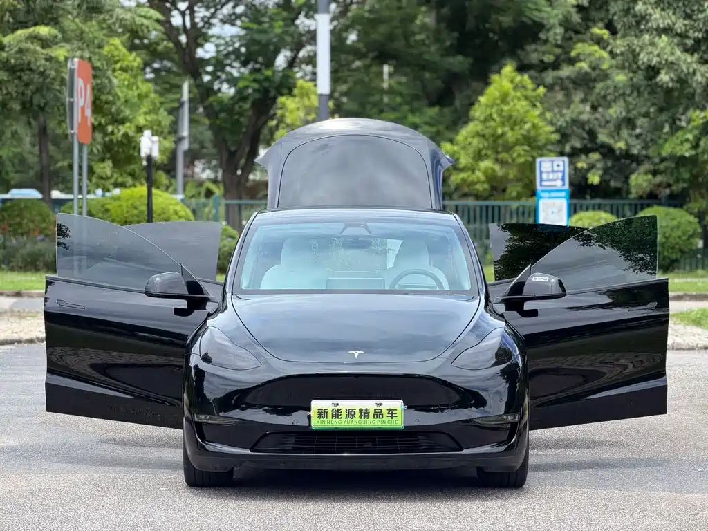 Tesla Model Y — миниатюра 7