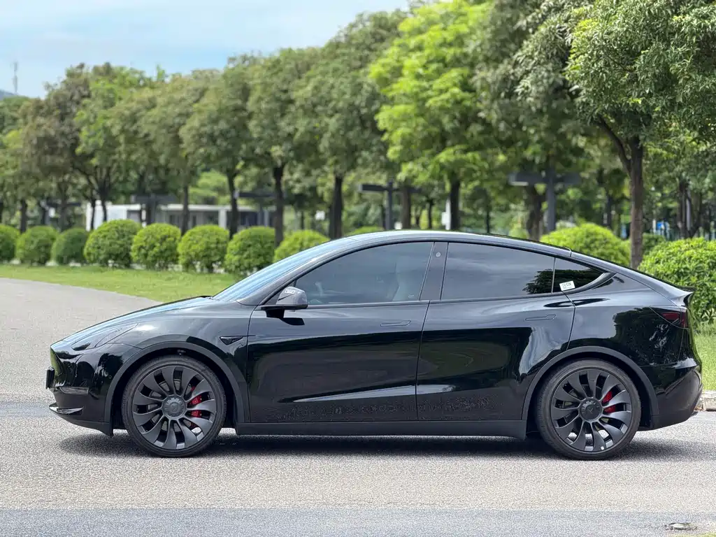 Tesla Model Y — миниатюра 22