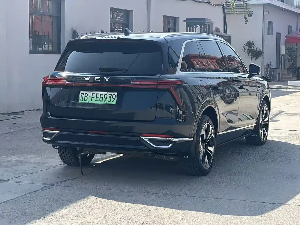 Wey Wey Lanshan — миниатюра 13