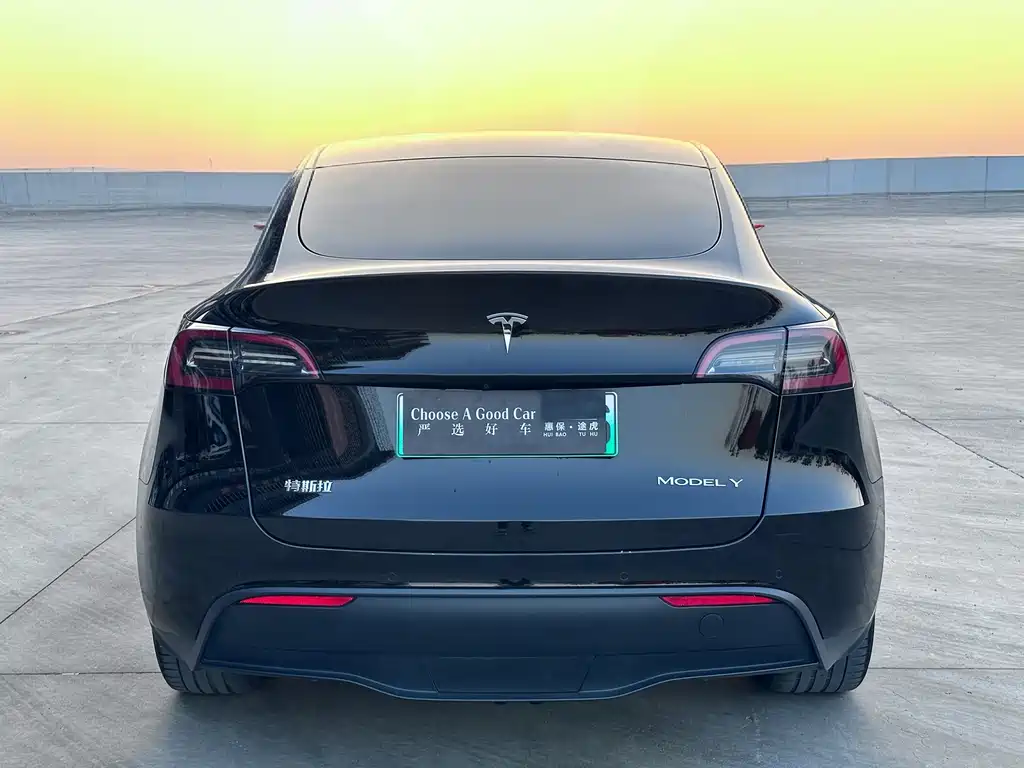 Tesla Model Y — миниатюра 7
