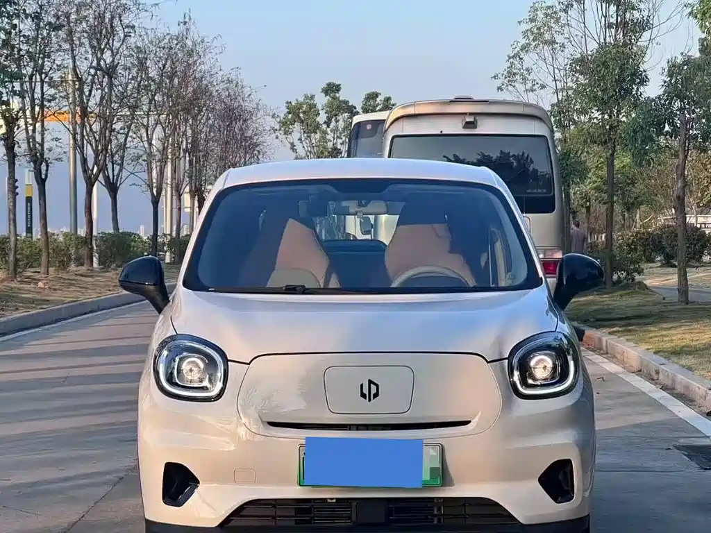 Leapmotor T03 2025 310