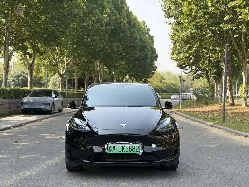 Tesla Model Y — миниатюра 2