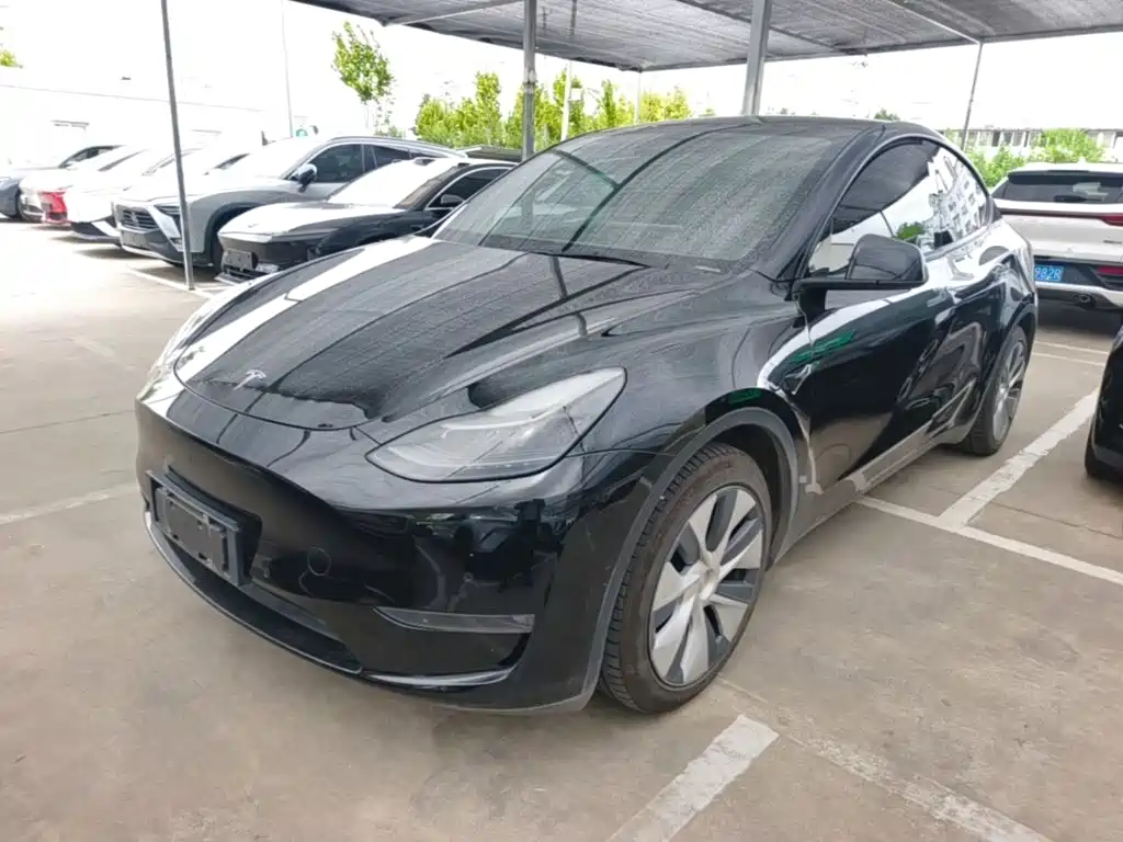 Tesla Model Y — миниатюра 2