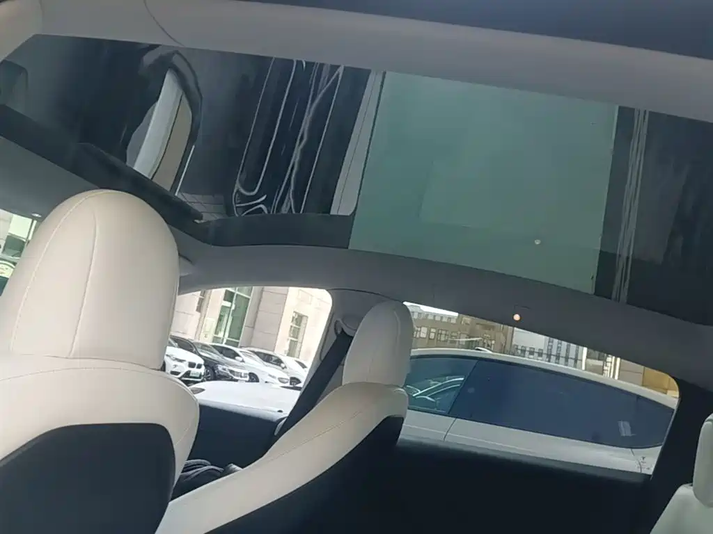 Tesla Model Y — миниатюра 18