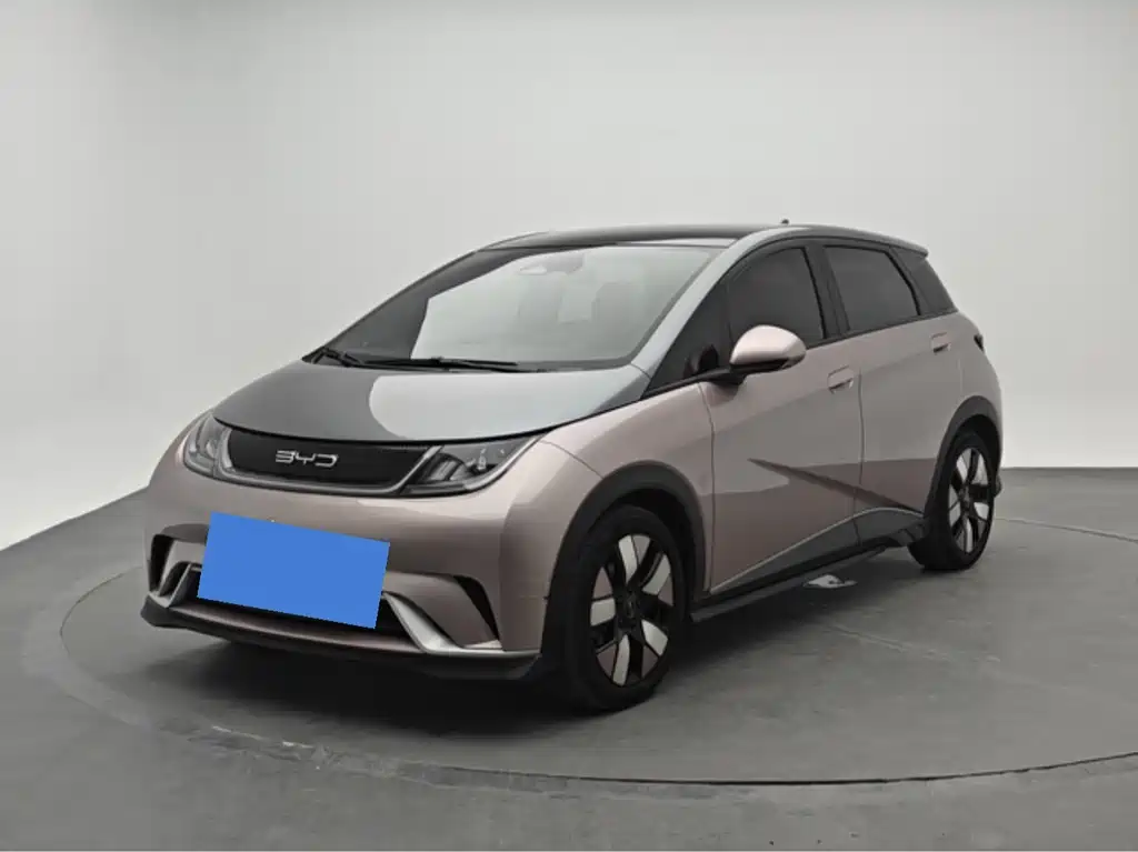 BYD Dolphin 2021 401km Knight Edition